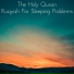 The Holy Quran