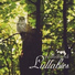 Calm Singing Birds Zone