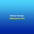 Bishoy George
