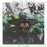 Boston Manor