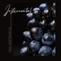 Instrumental jazz musique d'ambiance