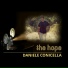 Daniele conicella