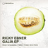 Ricky Ebner