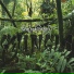 Bari Jungle Brothers feat. A Rezza