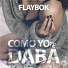 Flaybok