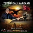 Erol Ergani