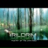 Rildrim