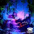 The KVB