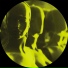 Tim Taylor, DJ Slip