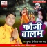 Kumar Vinit, Parul Nanda