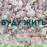 Сергей Рыбачёв