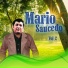 Mario Saucedo