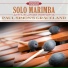 Solo Sounds feat. Arthur Lipner