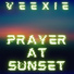 VEEXIE
