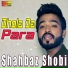 Shahbaz Shobi
