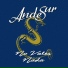 AndeSur