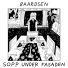 Baardsen