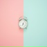 pasha bits