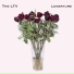 The Ltv