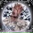 H-Ryda feat. V-12