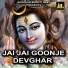 RAJ GORAV