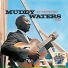 Muddy Waters