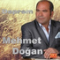 Mehmet Doğan