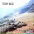 Teddy Bass