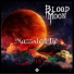 MazzodeLLic