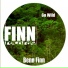 Benn Finn