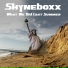 Shyneboxx