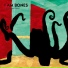 I am Bones