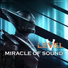 Miracle Of Sound