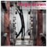 Hugo Brown