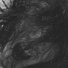 Freptiloid